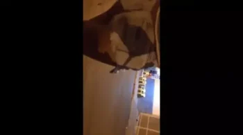 Transando de forma casual com uma novinha de bundão rebolando despida em um pornô incrível